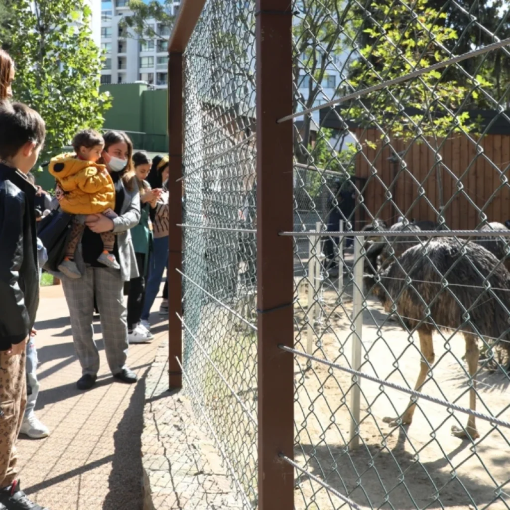 Parents with kids enjoying a day at the Baku Zoo, watching the animals in their habitat.